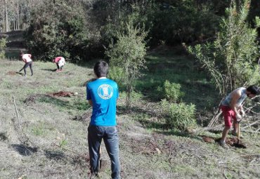 Escuela de Educación Física PUCV lideró trabajo de reforestación en el Parque CRUV - Foto 1