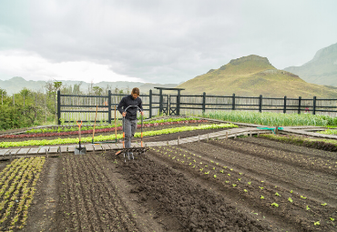 Dos huerteros en la Patagonia: otra agricultura es posible - Foto 1