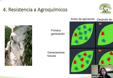Centro Ceres facilita taller online sobre manejo sanitario sostenible a pequeños agricultores de Perú - Foto 2