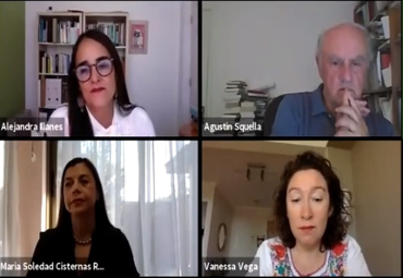 Programa Interdisciplinario de Niñez y Discapacidad efectuó conversatorio online sobre derechos de las personas en el contexto del Proceso Constituyente - Foto 1