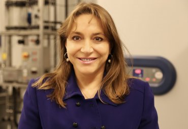 Académica María Elvira Zúñiga es la primera mujer en recibir el Premio Nacional del Colegio de Ingenieros de Chile - Foto 1