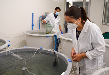 Nuevo Centro apoya investigación en acuicultura y programas de postgrado en Ciencias del Mar - Foto 1