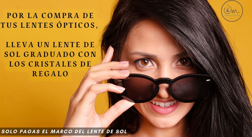 ptica Merl n Pontificia Universidad Cat lica de Valpara so