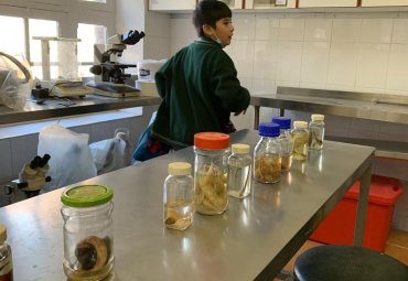 Alumnos de la Escuela Mixta de Lo Calvo realizaron visita pedagógica a la Piscicultura Río Blanco - Foto 4