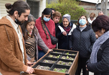 12 proyectos se adjudicaron Fondo Concursable Desafíos de Innovación Social PUCV - Foto 4