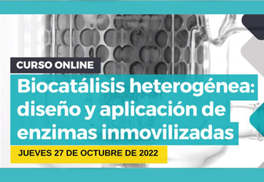 Cuarta sesión Curso online "Biocatálisis Heterogénea" PUCV