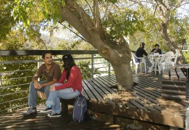 PUCV capacita a profesores y estudiantes en pedagogía basada en género - Foto 1