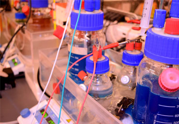 Investigación apuesta por enfrentar el cambio climático