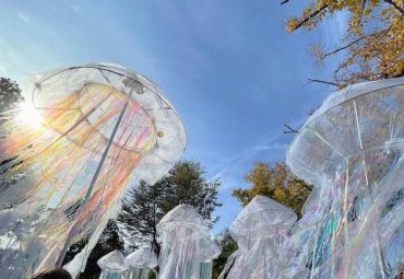 Estudiantes de Arquitectura y Diseño confeccionan “medusas” para carnaval en Pucón - Foto 2