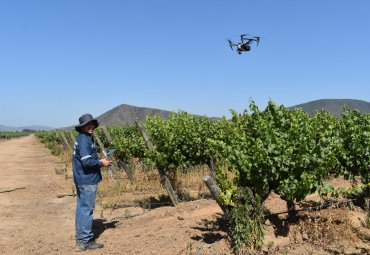Proyecto estudia el impacto del cambio climático en la vid ocupando drones