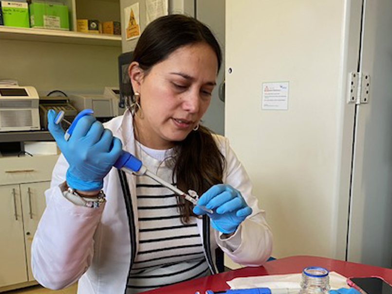 Desarrollan biofertilizante de amplio rango térmico que funciona en olas de calor