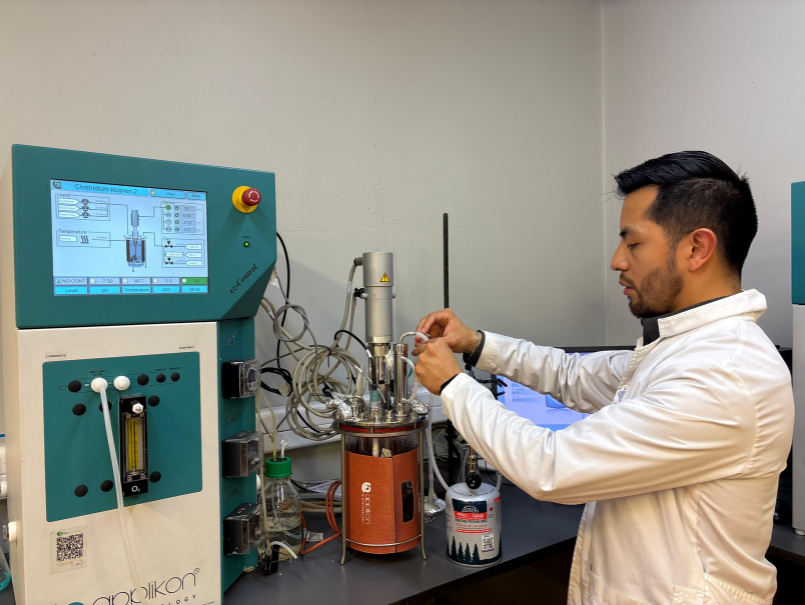 Revalorizan residuos vitivinícolas para uso en cosméticos, alimentos, biocombustibles y biofertilizantes