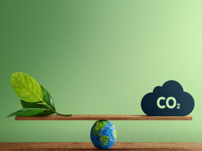 Universidad compensa huella de carbono generada en el Claustro Pleno 2025