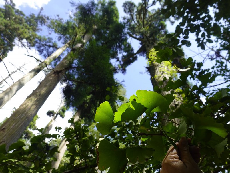 PUCV integra proyecto multinacional sobre reservas de la biósfera