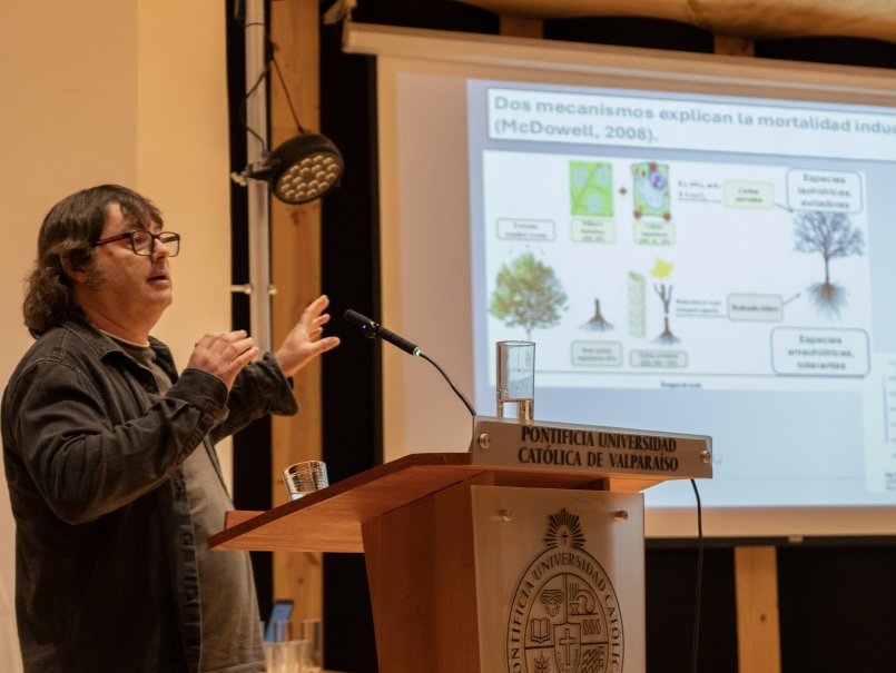 Científicos de Chile y España se reúnen para abordar la vulnerabilidad de los bosques ante la sequía y el cambio climático