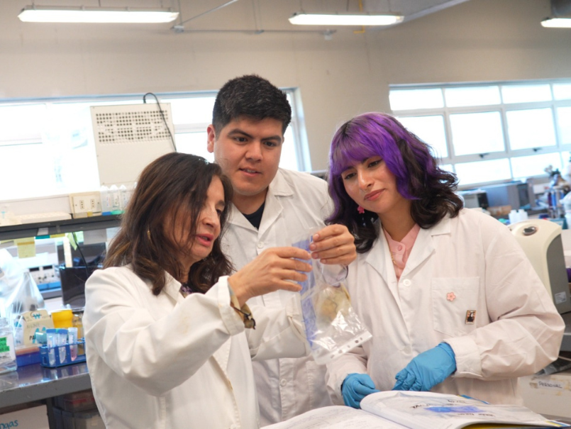 Estudiantes desarrollan tratamiento de triple acción contra la dermatitis atópica