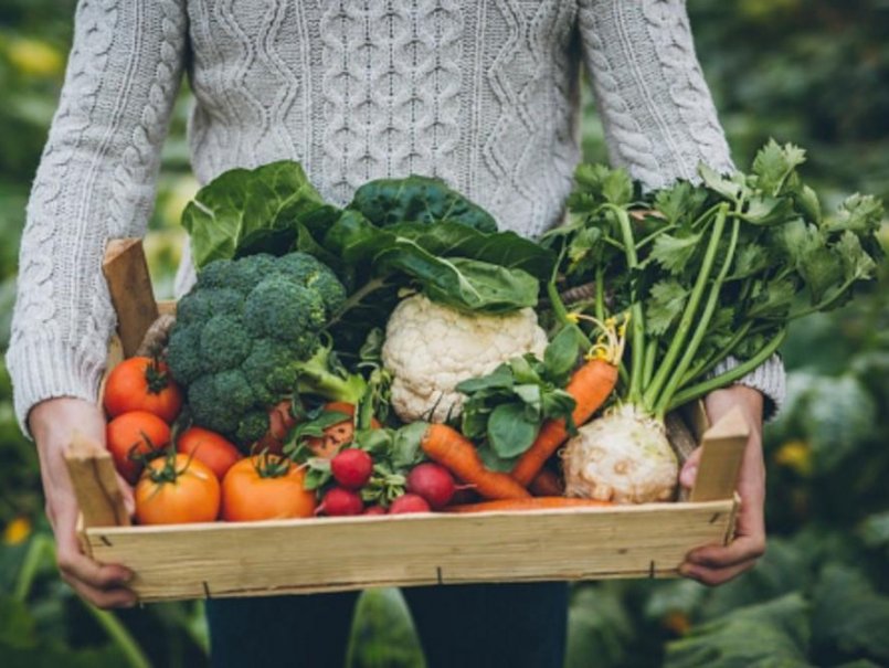 Estudio busca mejorar integración de pequeños agricultores a mercados de alimentos