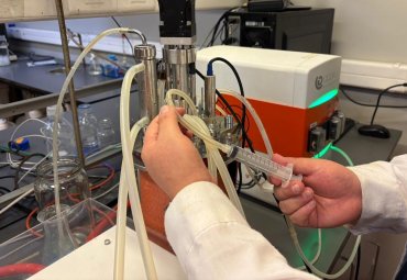 Production processes will be optimized through new strains of biotechnological yeast