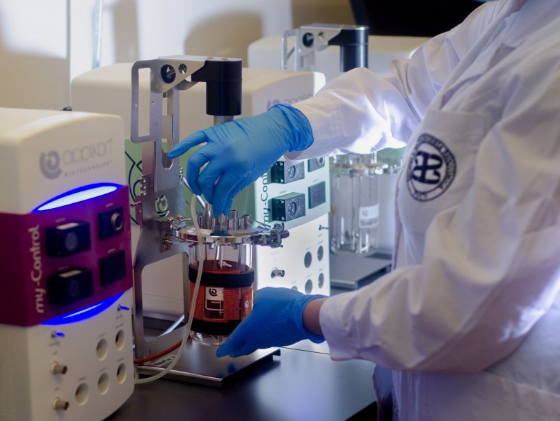 Desarrollan biopolímero para reducir la contaminación por polvo en relaves mineros
