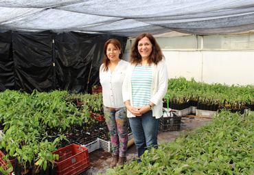 Equipo docente de la Escuela de Agronomía de la PUCV se adjudicó FONDEF de CONICYT
