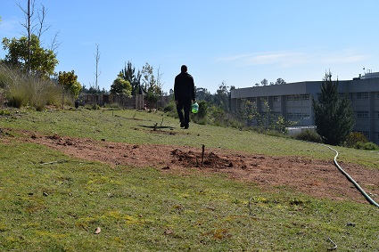 Profesor Atala dona más de 20 árboles al Campus Curauma