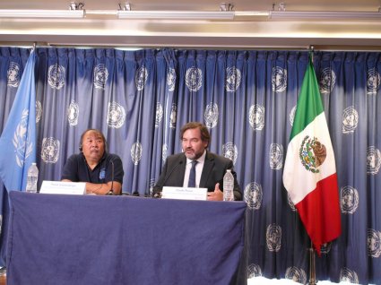 En México Director del Centro Vincular PUCV integró comitiva de expertos de la ONU