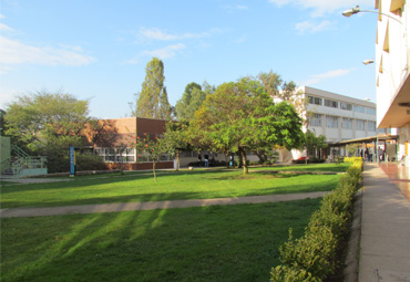 Escuela de Psicología PUCV liderará Centro de Investigación Avanzada en Educación a nivel nacional