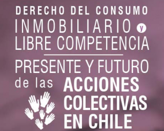 Seminario Derecho del consumo, inmobiliario y libre competencia: Presente y futuro de las acciones colectivas en Chile