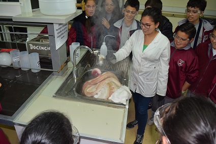 Semana de la Ciencia 2017