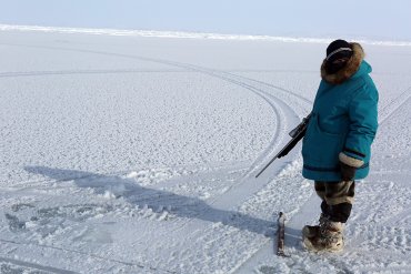 DocsBarcelona del Mes: "Angry Inuk"