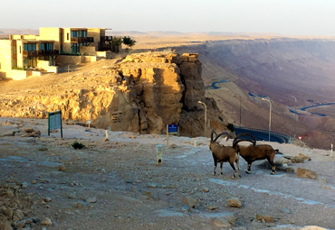 Investigador del Instituto de Geografía PUCV realizó exitosa gira científica por Israel