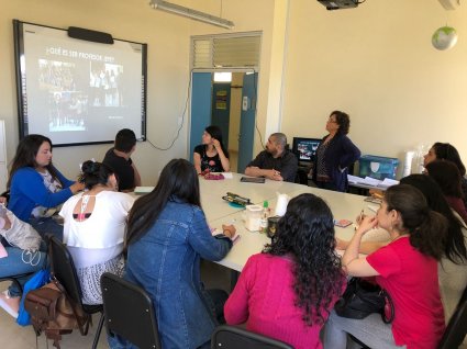 Con éxito se realiza nueva versión de la Escuela de Verano de Pedagogía en Química y Cs. Naturales