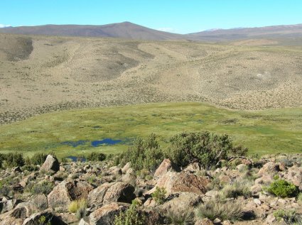 Climatic and hydrological changes in the Altiplano during the last millennium: new insights from annually-resolved paleoarchives