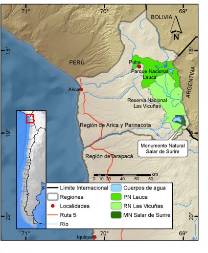 Reserva de la Biósfera Lauca