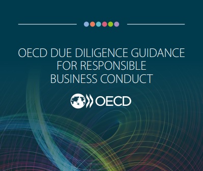 OCDE publicó Guía de Debida Diligencia para la Conducta Empresarial Responsable