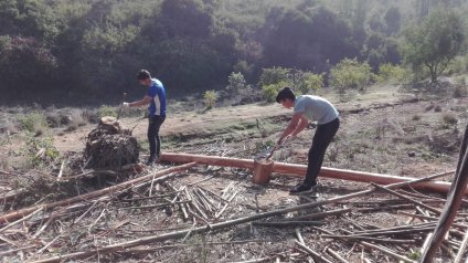 Programa de reforestación en parque CRUV