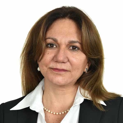 Imagen foto_00000007