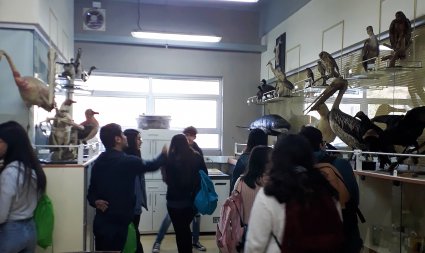 Estudiantes secundarios recorrieron el Instituto de Biología en Día Abierto PUCV