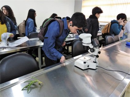 Estudiantes secundarios recorrieron el Instituto de Biología en Día Abierto PUCV