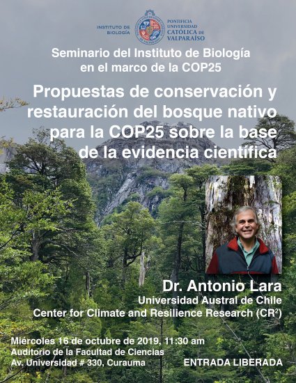 Propuestas de conservación y restauración del bosque nativo para la COP25 sobre la base de la evidencia científica