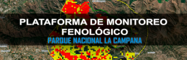 Plataforma Monitoreo Fenológico P.N. La Campana
