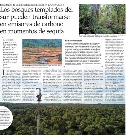 Académico PUCV forma parte de investigación que mide por primera vez el flujo de CO2 en bosque nativo de Chile