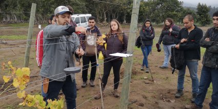 Alumnos de 5° año desarrollan práctico de poda en viñedo de docencia