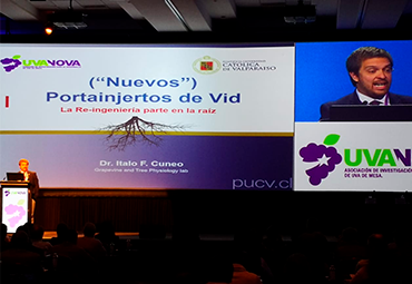 Con presentaciones en Seminario Uvanova y Chilfresh, profesor de Agronomía expone sobre nuevas variedades y portainjertos de uva de mesa