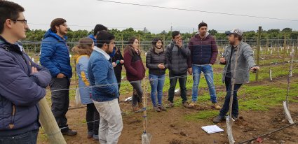 Alumnos de 5° año desarrollan práctico de poda en viñedo de docencia