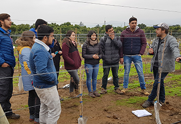 Alumnos de 5° año desarrollan práctico de poda en viñedo de docencia