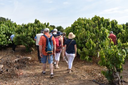 Cooperativa francesa de agricultores y ganaderos visitan la Estación Experimental