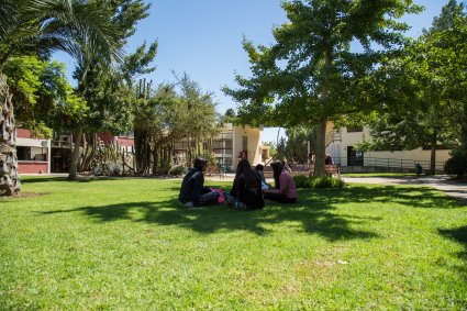 Formación de Ayudantes para el primer semestre del 2019