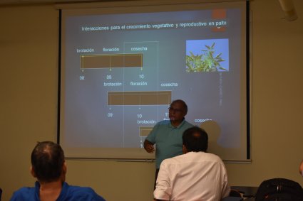 Productores brasileños visitan la Escuela de Agronomía para conocer sobre el desarrollo del cultivo de paltas en Chile