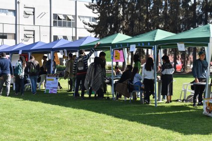 Estudiantes de primer año participan en Feria Agrícola 2019